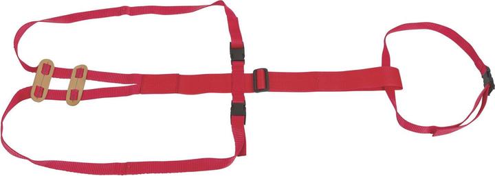 Kerbl Vorfallbandage für Schafe