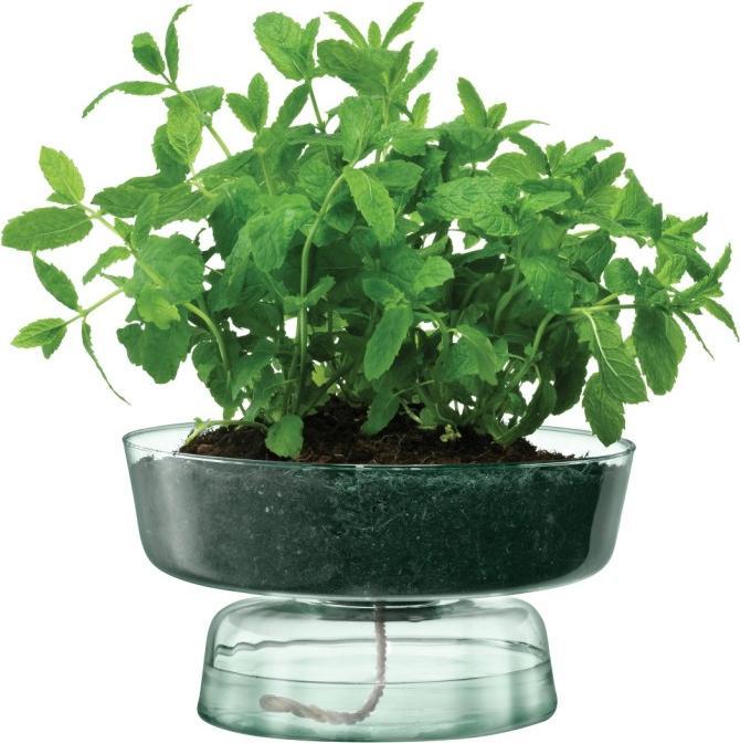 Image du produit LSA Canopy pot auto-irrigant H14.5cm recy. Aspect (1 x)