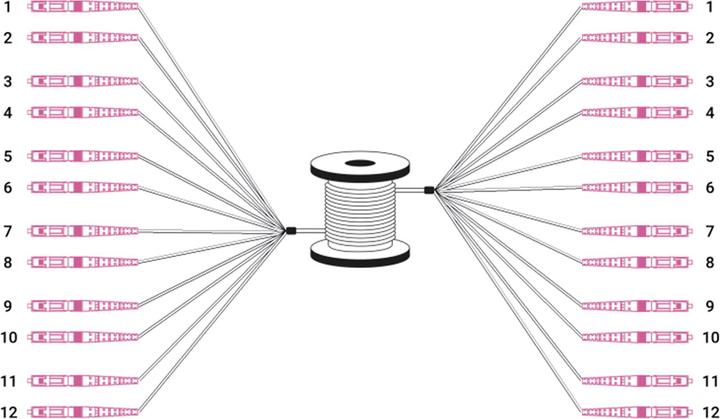 Produktbild Digitus Vorkonfektionierte Glasfaser Universal Breakout Kabel, Multimode OM4, 12 Fasern, LC/UPC - LC/UPC (LSOH, CAT6, 50 m)