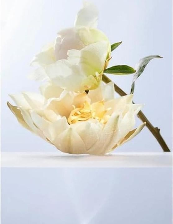 Actual product image Bulgari Crystalline (Eau de toilette, 50 ml)