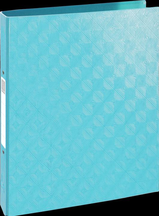 Actual product image Exacompta Ring binders (A4, 40 mm, 120 Piece)