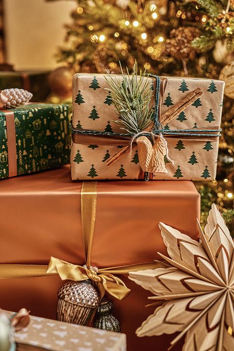 Image du produit pfister Alpine Nature (1 x)