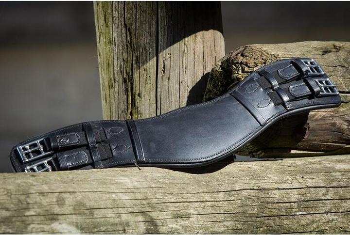 Produktbild HFI Master Sattelgurt