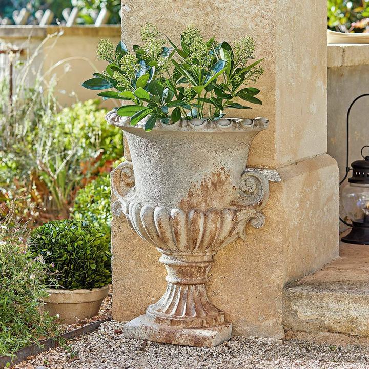 Immagine prodotto Loberon Anfora Cevio beige antico (20.50 x 41 x 54 cm)