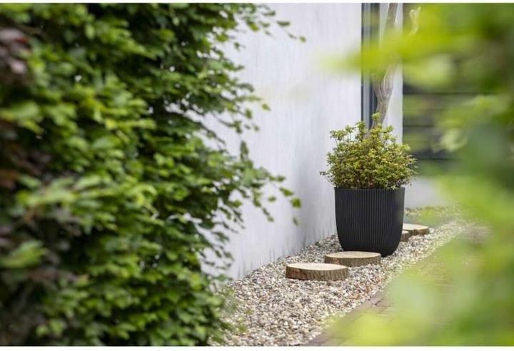 Produktbild Capi Morgan (43 x 41 cm)