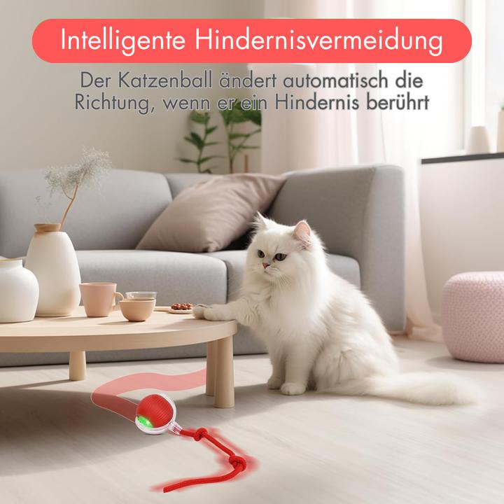 Actual product image Suba Katzenball LED (Cat activity toy)