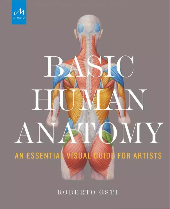 Produktbild Basic Human Anatomy (Englisch, Roberto Osti, 2022)
