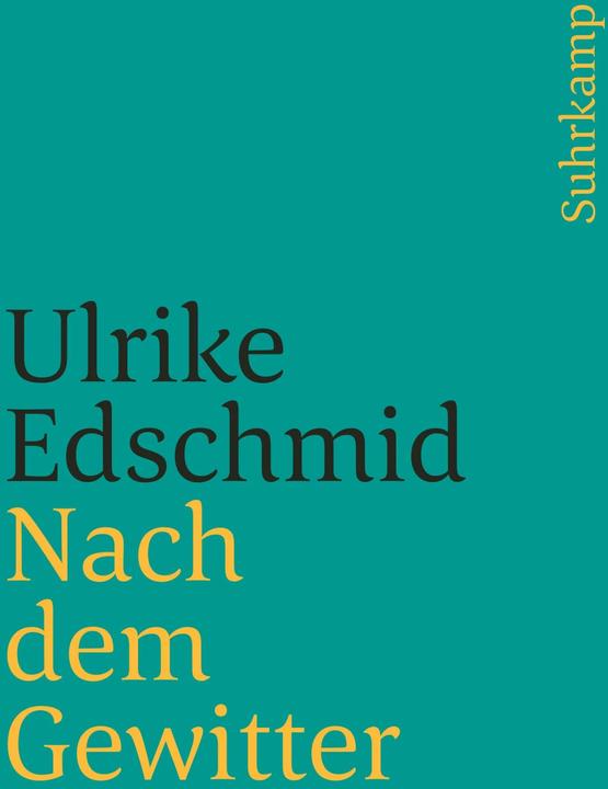 Produktbild Nach dem Gewitter (Deutsch, Ulrike Edschmid, 2003)