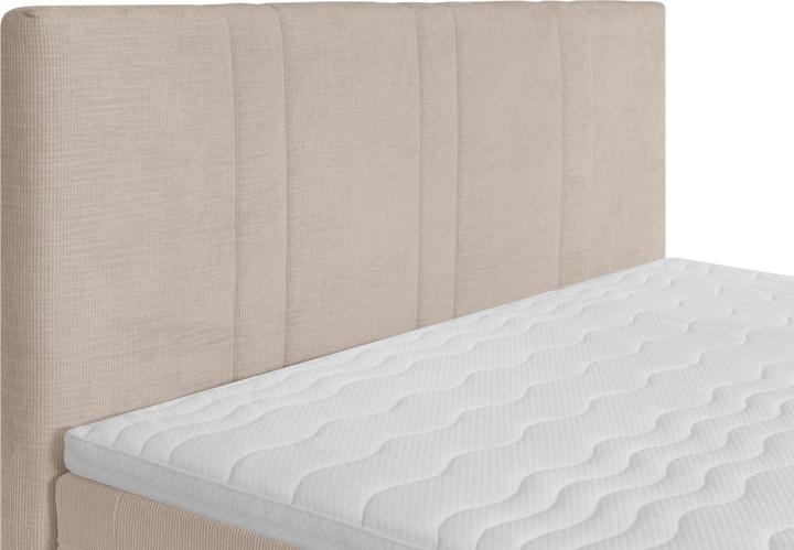 Image du produit Mid.You Paola (120 x 200 cm)
