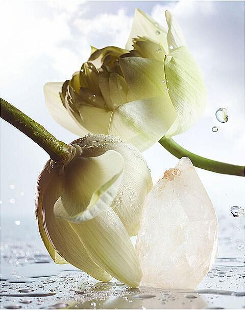 Actual product image Bulgari Rain Essence (Eau de parfum, 60 ml)