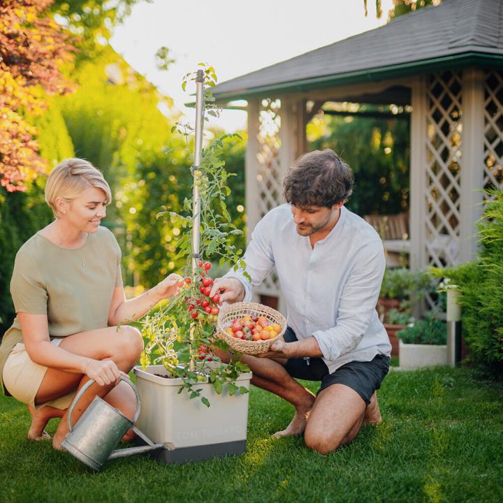 Produktbild Gusta Garden Tom Tomato (34.70 x 27.70 x 135.40 cm)