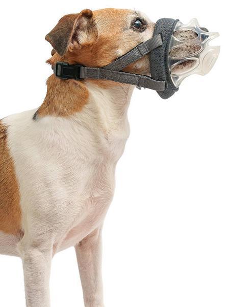 Image du produit Baskerville Muselière INVISA (5, Chat, Chien)