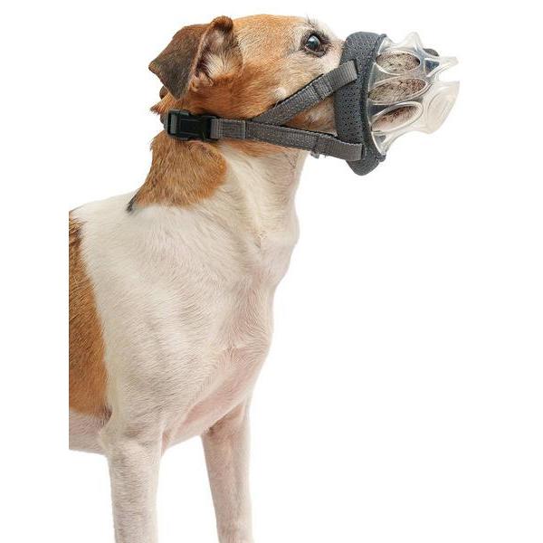 Thumbnail - Baskerville Maulkorb INVISA (1, Hund), Halsband + Leine
