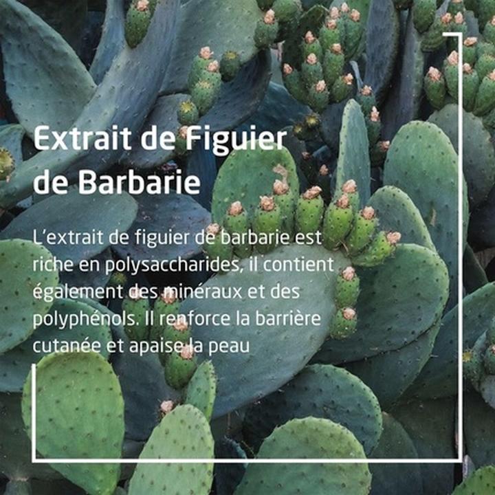 Produktbild Weleda Prickly Pear Hydrating (30 ml, Tagescreme)