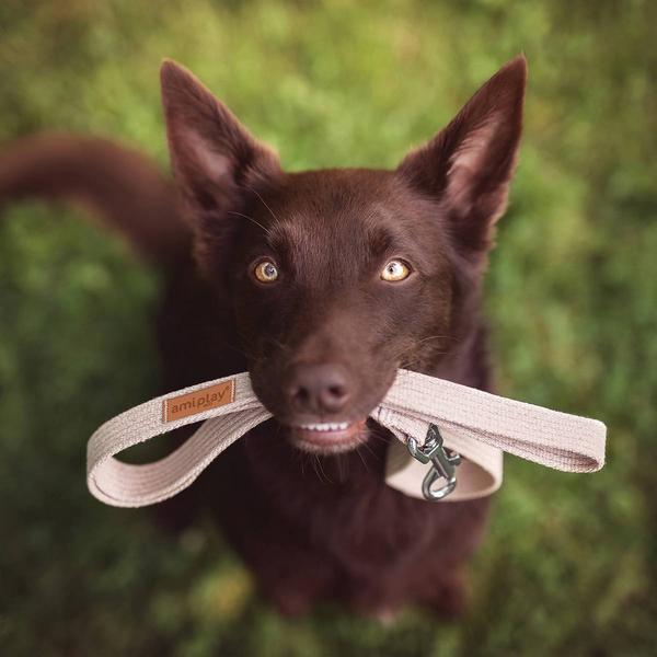 Actual product image amiplay Necklace Cotton S, 15mm/28-40cm, brun (S, Dog)