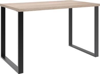 EICHE SAEGERAU-NACHBILDUNG