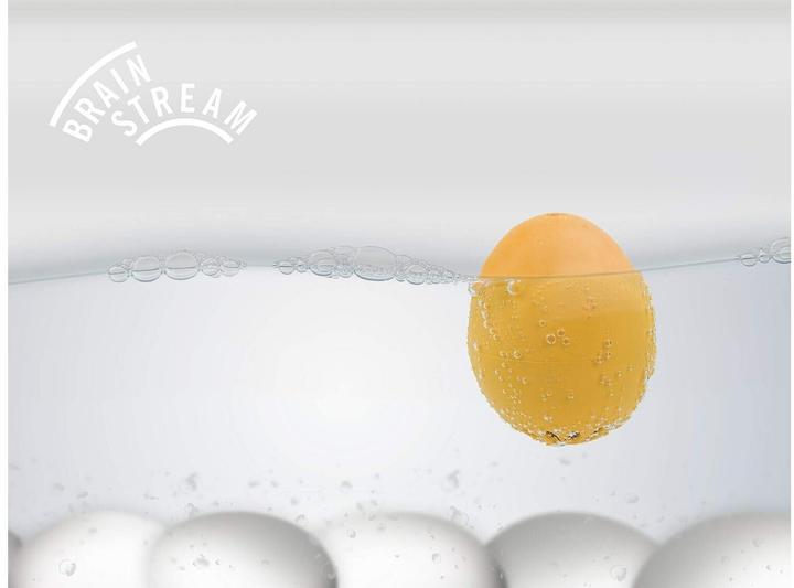 Actual product image PiepEi BeepEgg Country Egg Chick