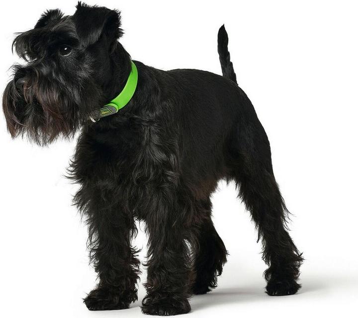 Produktbild Hunter Convenience - dog collar green green - 50 cm (M, Hund, Allgemein)
