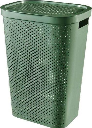 Green, Grey, zielony