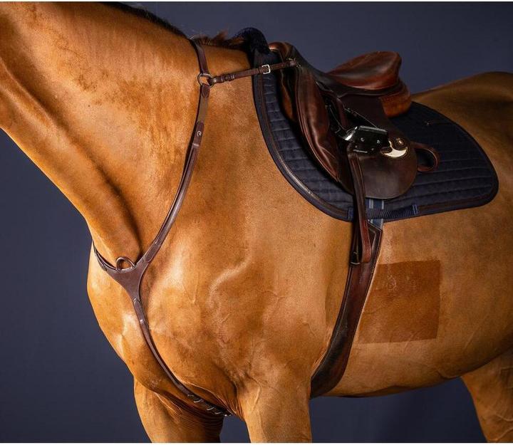 Image du produit Dy'on Collier de chasse pour cheval à pont