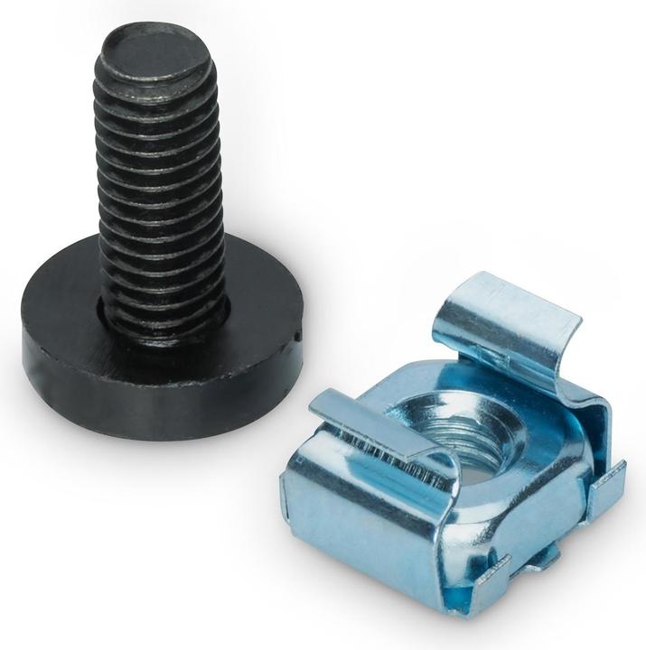 Actual product image Digitus DN-19 SET screw set, size M6 for 19" cabinets