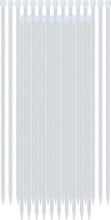 Produktbild Avizar Kabelbinder 4.6 x 500 mm 25 Stück Nylon (500 mm, 25 Stk.)