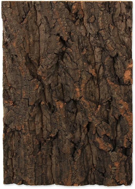 Productafbeelding Repti Planet Kurk achterwand 19 x 27,3 x 2 cm