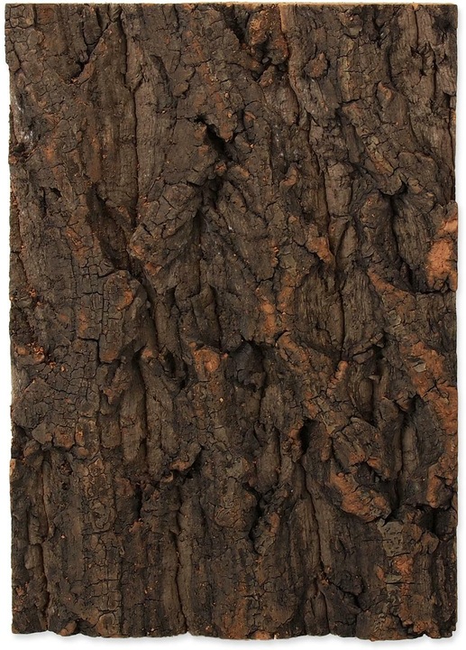 Produktbild Repti Planet Kork-Rück Wand 19 x 27.3 x 2 cm