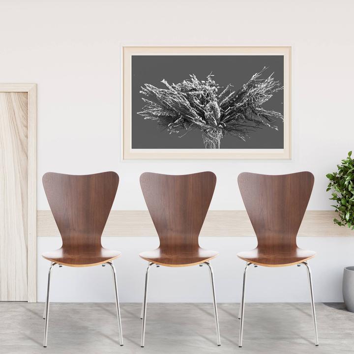 Image du produit CLP Calisto