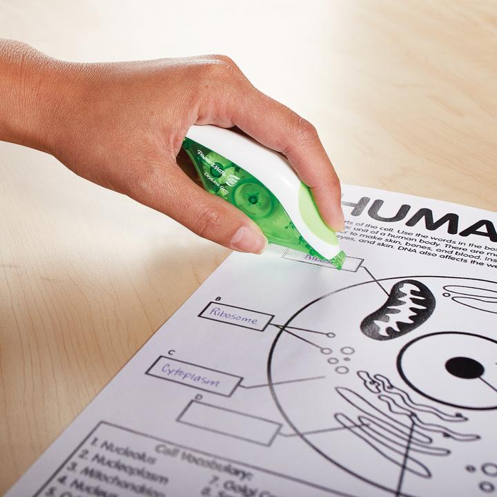 Actual product image Paper Mate Paper:Mate correction roller DRYLINE GRIP RECYCLED