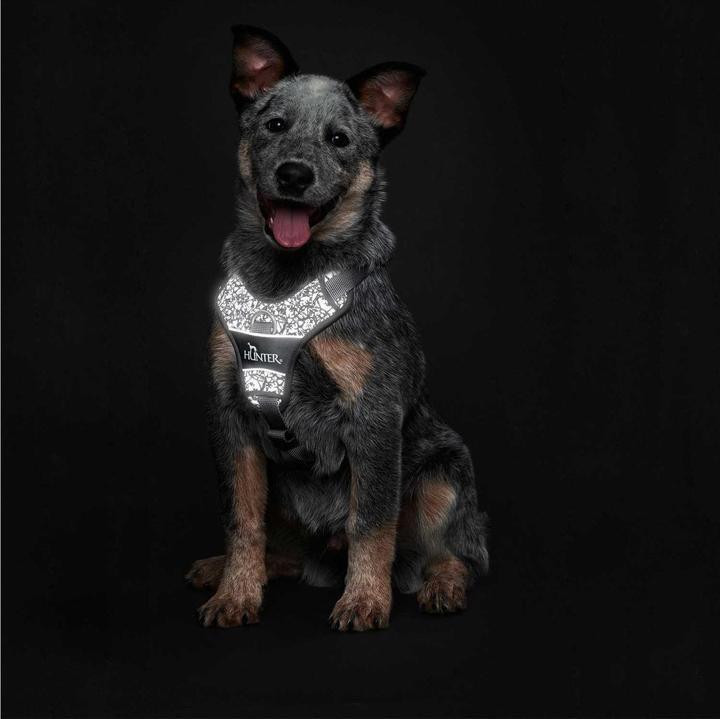 Produktbild Hunter Geschirr Divo Reflect nylonpolyester (S, Hund, Allgemein)