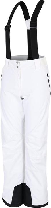 Actual product image Dare2b Womens/Ladies Diminish Insulated Ski Trousers (42)