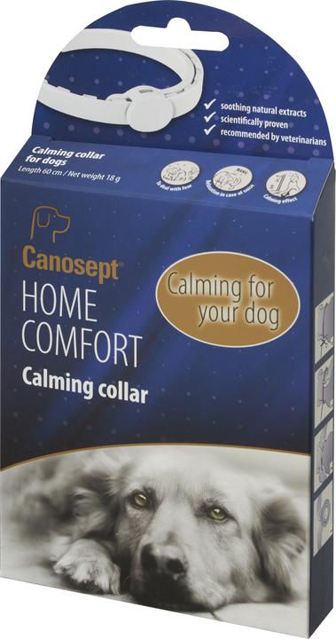 Actual product image Canosept Home Comfort Calming Collar (Dog)