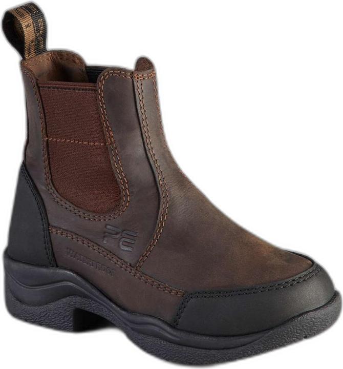 Premier Equine Vinci