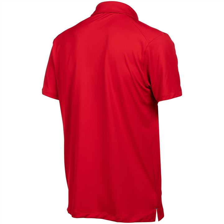 Actual product image Arena Team Poloshirt Solid (XXL)