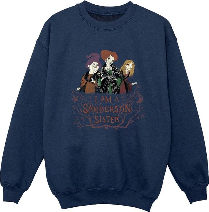 Image du produit Disney - Sweat HOCUS POCUS SANDERSON SISTER - Garçon (128)