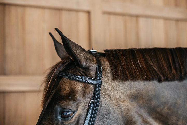 Produktbild Dy'on Geflochtene Zäume Reiten