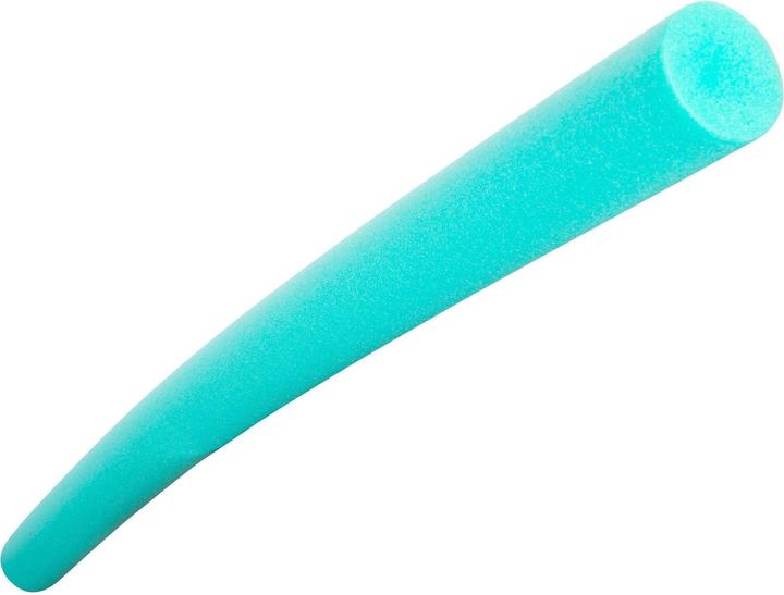 Speedo Turtle Printed Noodle buy at Galaxus