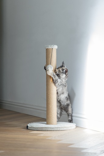 Actual product image Designed by Lotte Scratching post (70 cm, Light grey)