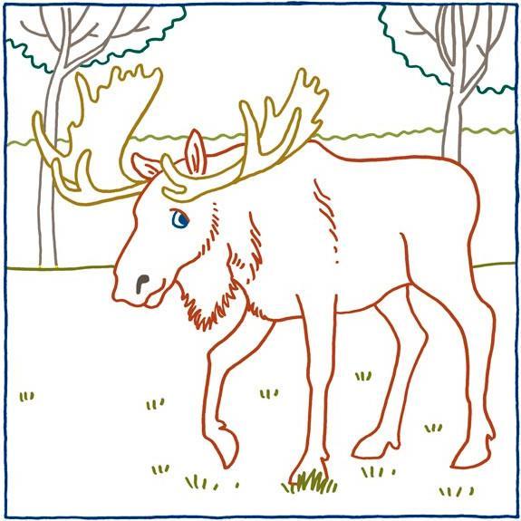 Produktbild Zauberpapier Malbuch Tierisch was los