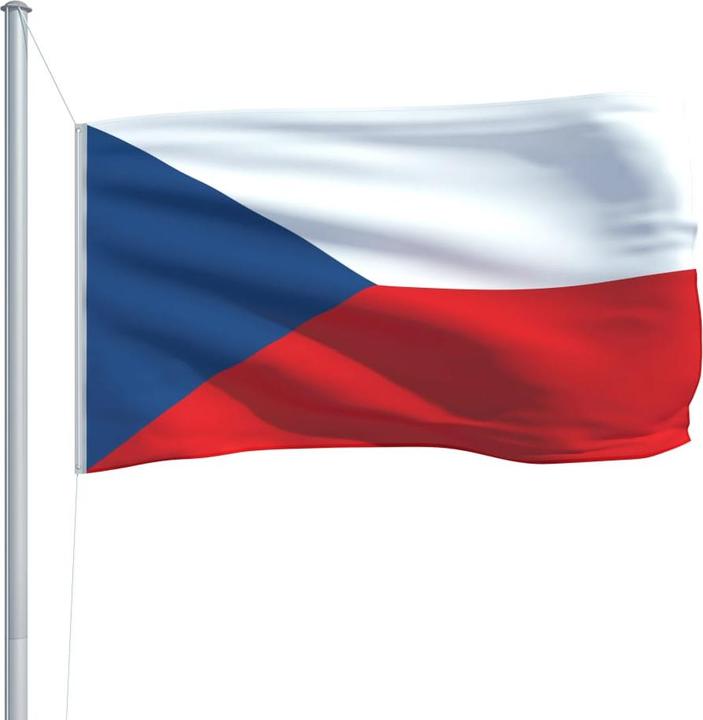 Actual product image vidaXL Tschechische Flagge (150 x 90 cm)