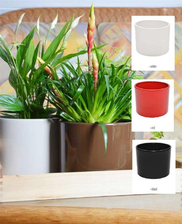 Produktbild Domoletti Walec Structur (28 x 26 cm)