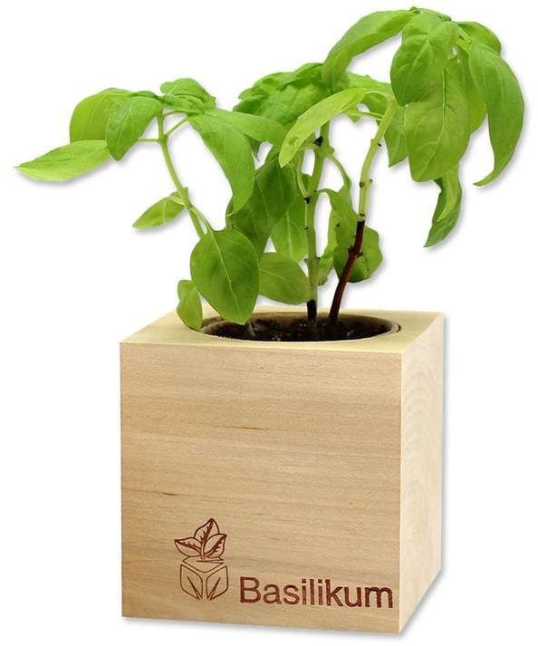 Actual product image Feel Green Ecocube (Herb seeds)