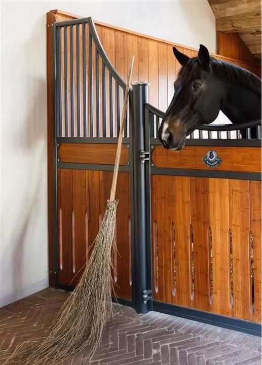 Immagine prodotto Grooming Deluxe Scopa in bambù