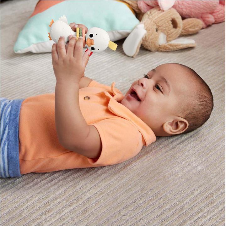 Actual product image Fisher-Price Clack & Quack Goose (3 Months)