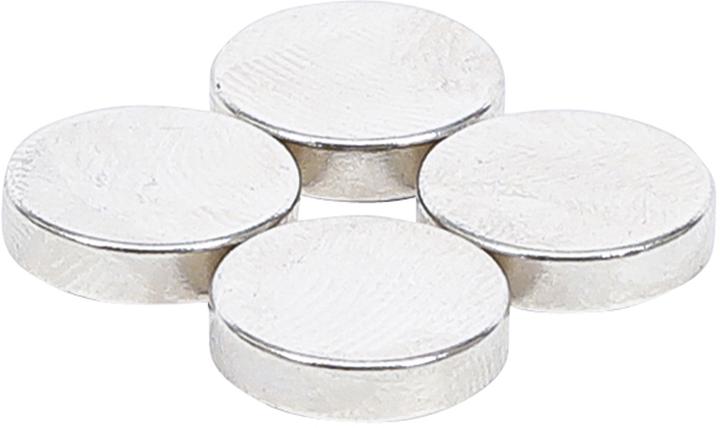 BGS Magnet set (4 x)