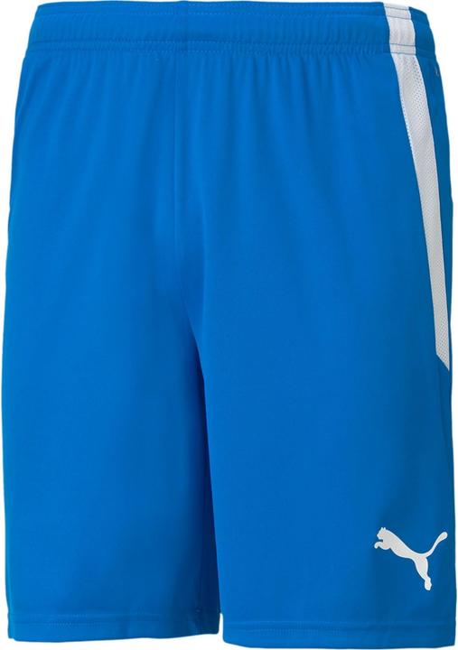 Puma teamLIGA Shorts-704924 (M)