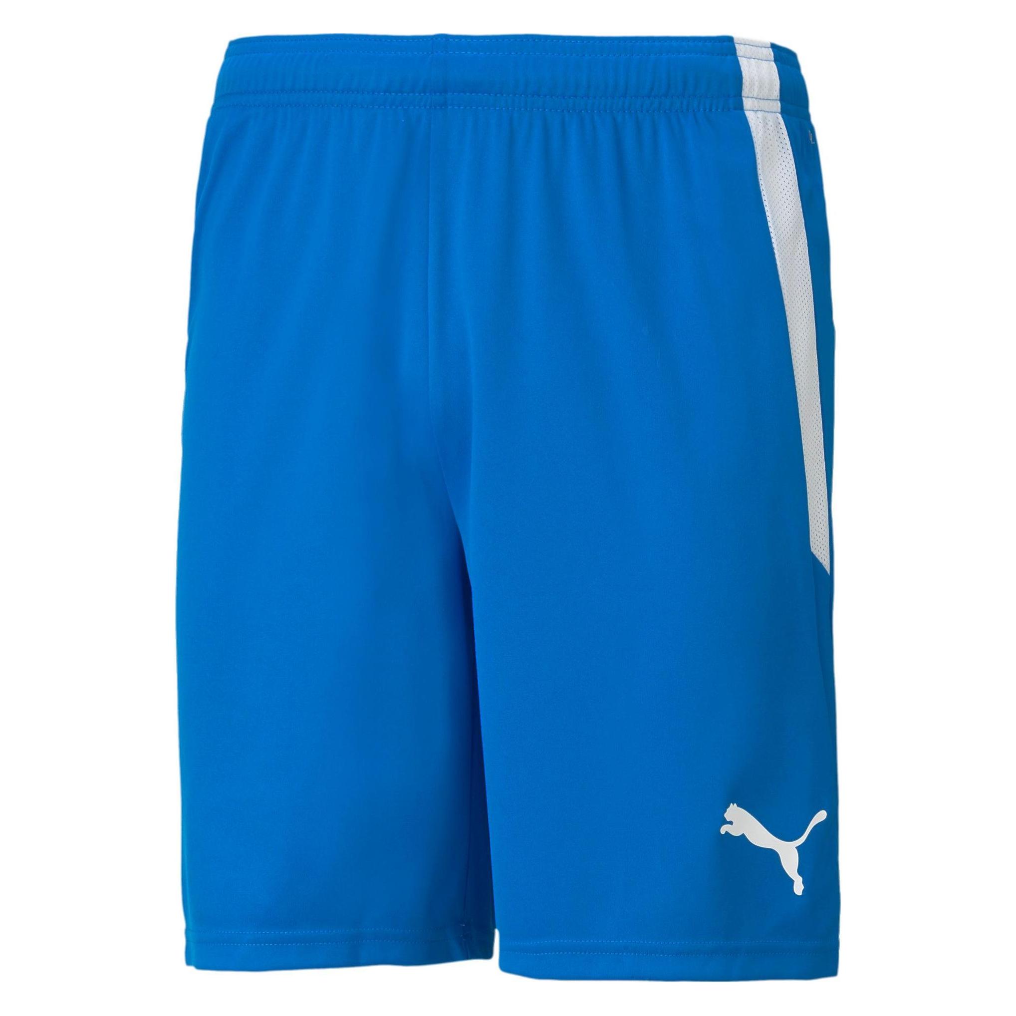 Puma, Mannen, Sportbroek, TeamLIGA Shorts-704924 (M), Blauw