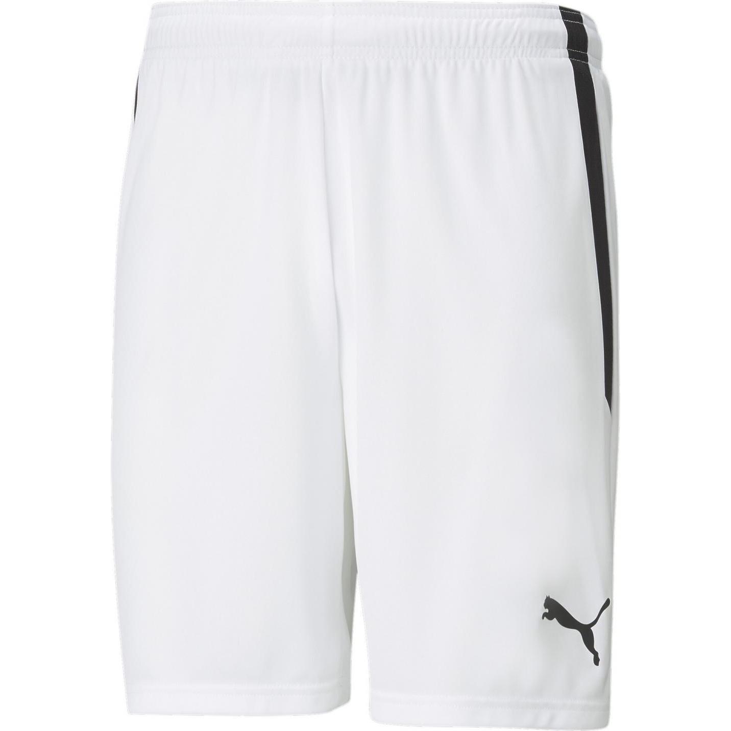 Puma, Herren, Sporthose, teamLIGA Shorts-704924 (L), Grau, L