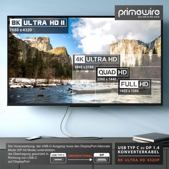 Actual product image Primewire USB Type C - DisplayPort (1 m, DisplayPort, USB Type C)